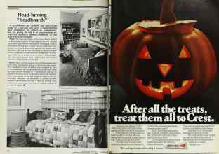 Better Homes & Gardens November 1978 Magazine Article: Page 250