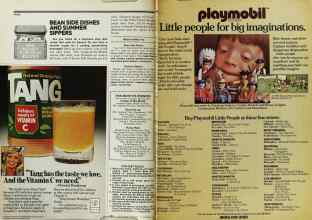 Better Homes & Gardens November 1978 Magazine Article: Page 252