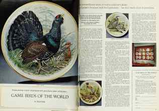 Better Homes & Gardens November 1978 Magazine Article: Page 296
