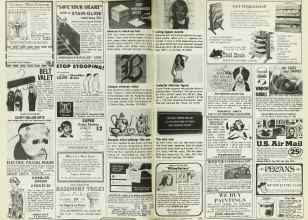 Better Homes & Gardens November 1978 Magazine Article: Page 314