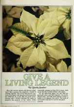 Better Homes & Gardens December 1978 Magazine Article: GIVE A LIVING LEGEND