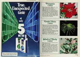 Better Homes & Gardens December 1978 Magazine Article: Page 14