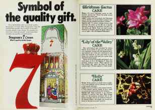 Better Homes & Gardens December 1978 Magazine Article: Page 18