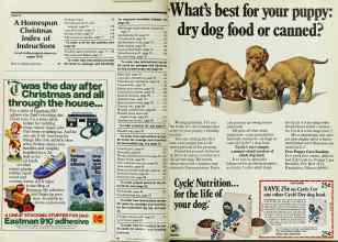 Better Homes & Gardens December 1978 Magazine Article: Page 46