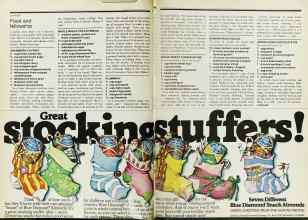 Better Homes & Gardens December 1978 Magazine Article: Page 132