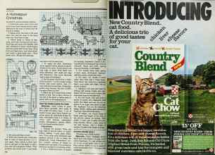 Better Homes & Gardens December 1978 Magazine Article: Page 142