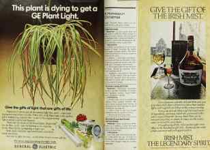 Better Homes & Gardens December 1978 Magazine Article: Page 152