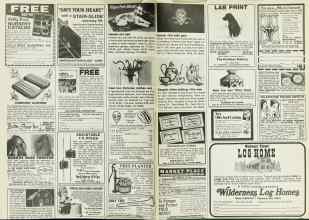 Better Homes & Gardens December 1978 Magazine Article: Page 180