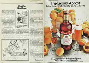 Better Homes & Gardens December 1978 Magazine Article: Page 184