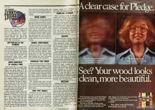 Better Homes & Gardens January 1979 Magazine Article: Page 10