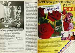 Better Homes & Gardens January 1979 Magazine Article: Page 24