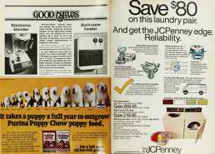 Better Homes & Gardens January 1979 Magazine Article: Page 44