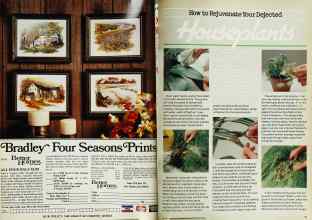 Better Homes & Gardens January 1979 Magazine Article: Page 80