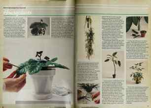 Better Homes & Gardens January 1979 Magazine Article: Page 82
