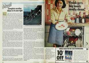 Better Homes & Gardens January 1979 Magazine Article: Page 134