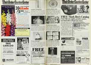 Better Homes & Gardens January 1979 Magazine Article: Page 158
