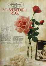 Better Homes & Gardens February 1979 Magazine Article: Introducing Our E.T. MEREDITH ROSE