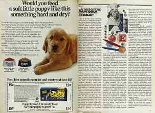 Better Homes & Gardens February 1979 Magazine Article: Page 16