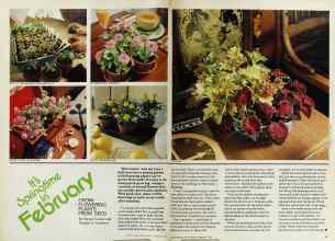 Better Homes & Gardens February 1979 Magazine Article: It's Springtime in February