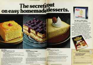 Better Homes & Gardens February 1979 Magazine Article: Page 48