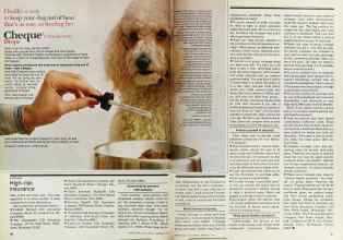 Better Homes & Gardens February 1979 Magazine Article: Page 86