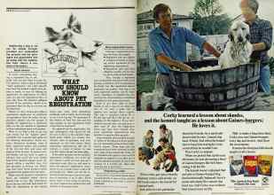 Better Homes & Gardens February 1979 Magazine Article: Page 92