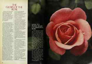 Better Homes & Gardens February 1979 Magazine Article: Page 96