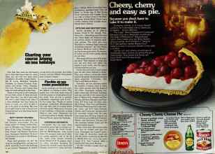 Better Homes & Gardens February 1979 Magazine Article: Page 162