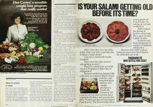 Better Homes & Gardens February 1979 Magazine Article: Page 170