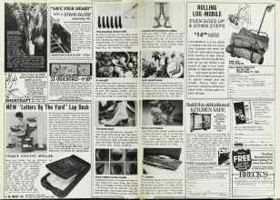 Better Homes & Gardens February 1979 Magazine Article: Page 198