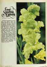 Better Homes & Gardens March 1979 Magazine Article: Grow Something Different