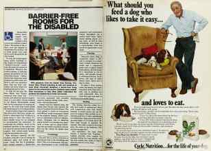 Better Homes & Gardens March 1979 Magazine Article: Page 32