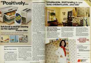 Better Homes & Gardens March 1979 Magazine Article: Page 36