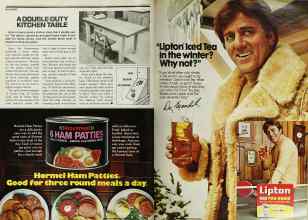 Better Homes & Gardens March 1979 Magazine Article: Page 98