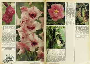 Better Homes & Gardens March 1979 Magazine Article: Page 106