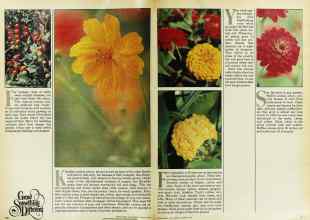 Better Homes & Gardens March 1979 Magazine Article: Page 110