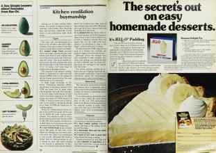 Better Homes & Gardens March 1979 Magazine Article: Page 152