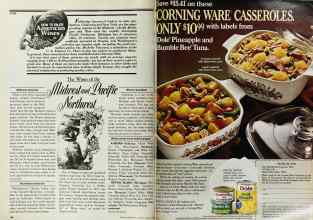 Better Homes & Gardens March 1979 Magazine Article: Page 166