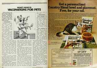 Better Homes & Gardens March 1979 Magazine Article: Page 178
