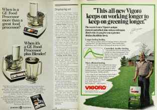 Better Homes & Gardens March 1979 Magazine Article: Page 196