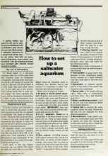 Better Homes & Gardens April 1979 Magazine Article: How to set up a saltwater aquarium