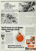 Better Homes & Gardens April 1979 Magazine Article: HOUSEPLANT HOW-TO