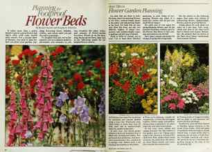 Better Homes & Gardens April 1979 Magazine Article: Planning for Foolproof Flower Beds