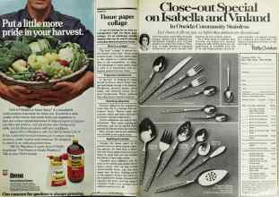 Better Homes & Gardens April 1979 Magazine Article: Page 48