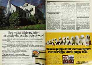 Better Homes & Gardens April 1979 Magazine Article: Page 86