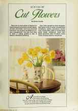 Better Homes & Gardens May 1979 Magazine Article: Cut Flowers