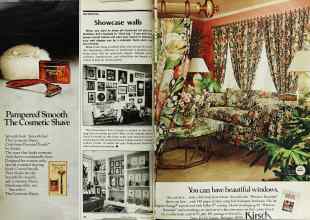 Better Homes & Gardens May 1979 Magazine Article: Page 28