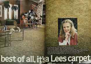 Better Homes & Gardens May 1979 Magazine Article: Page 72