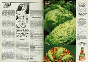 Better Homes & Gardens May 1979 Magazine Article: Page 90