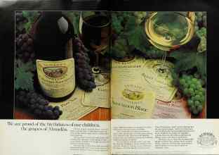 Better Homes & Gardens May 1979 Magazine Article: Page 100